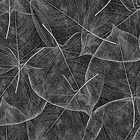 eQuilter Delicate Leaf Texture - Thunderstorm Gray