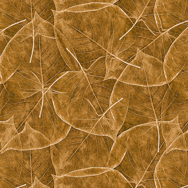 Delicate Leaf Texture - Walnut Brown - DIGITAL