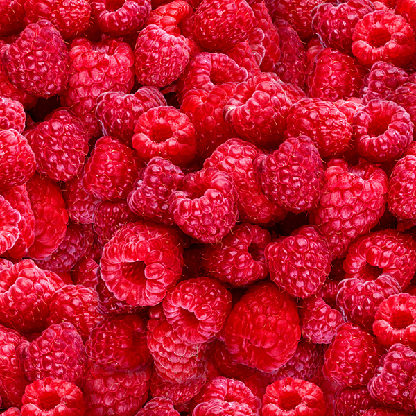 Fresh Picked Raspberries - Raspberry Red - DIGITAL PRINT