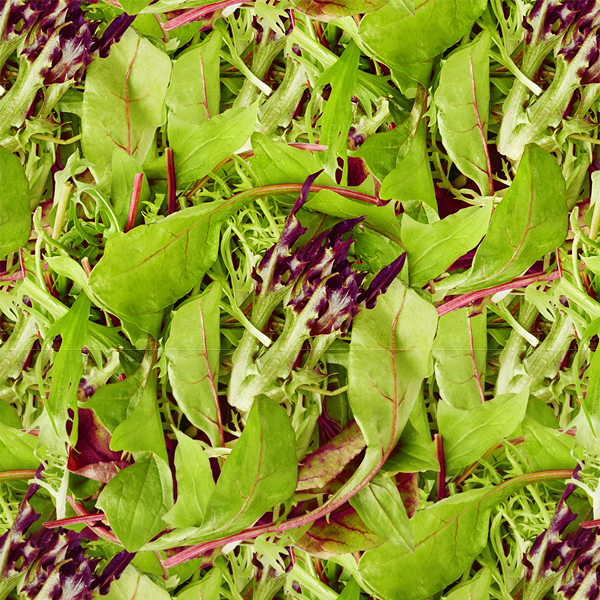Spring Salad - Leaf Green - DIGITAL PRINT