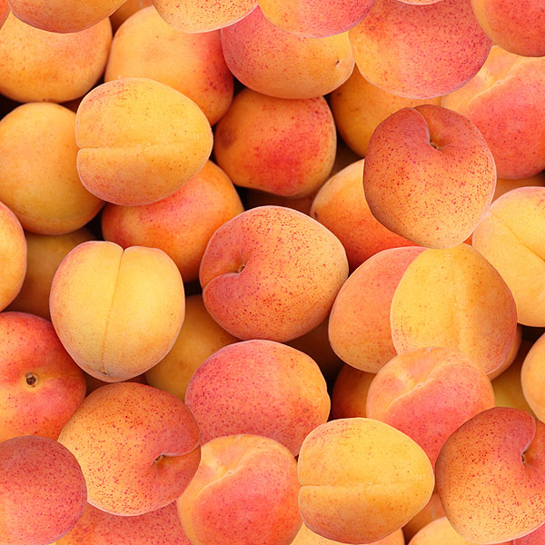 Apricots - Fruit Medley - Marigold Yellow