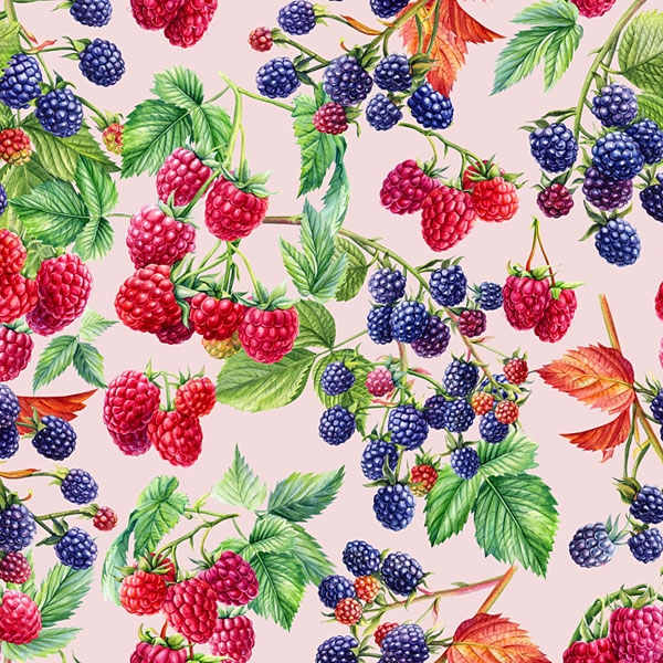 Raspberries & Blackberries - Powder Pink - DIGITAL