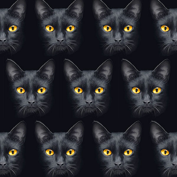 Black Cat - Through the Dark -Onyx Black- Digital Print