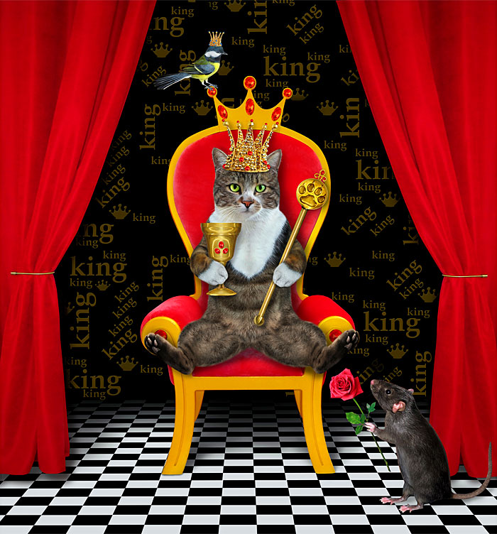 Kitty King - Black - 40" x 44" PANEL - DIGITAL