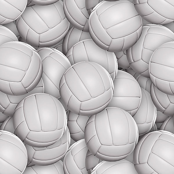 Sports - Volley Balls - Fog Gray - DIGITAL PRINT