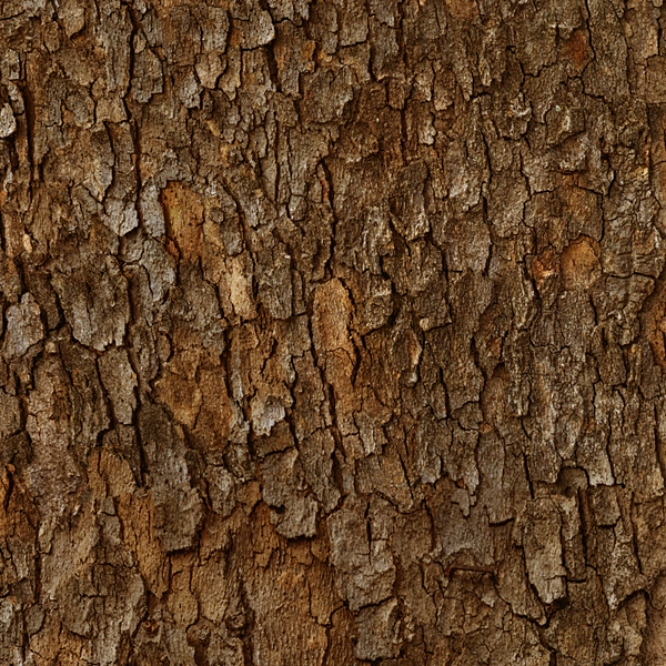 Tree Bark - Bark Brown - DIGITAL PRINT