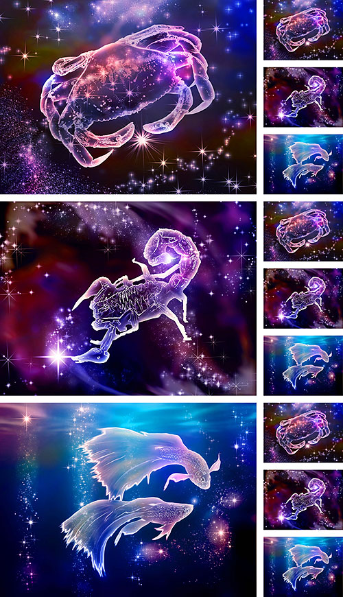 Astrology - Water Signs - 25" x 44" PANEL - DIGITAL PRINT