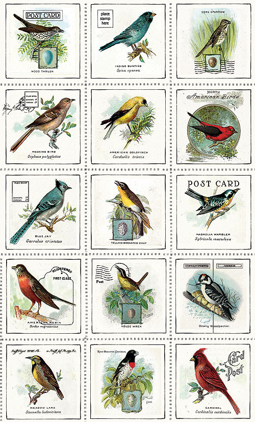 Art Journal - Ornithology - Eggshell - 24" x 44" PANEL