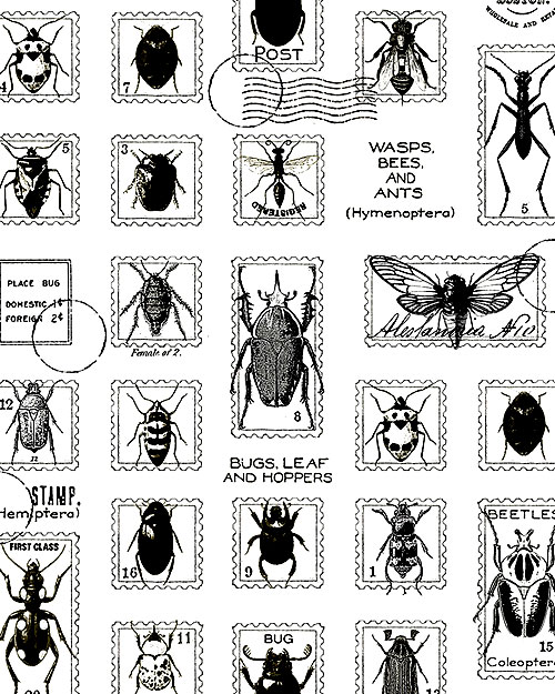 Art Journal - Entomology Stamps - Soft White - DIGITAL
