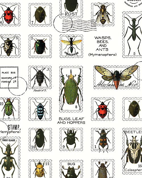 Art Journal - Entomology Stamps - White - DIGITAL