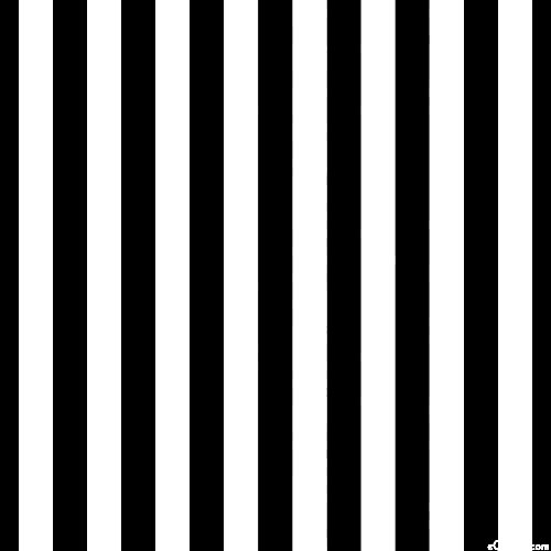 Half Inch Stripes - Lines - Black