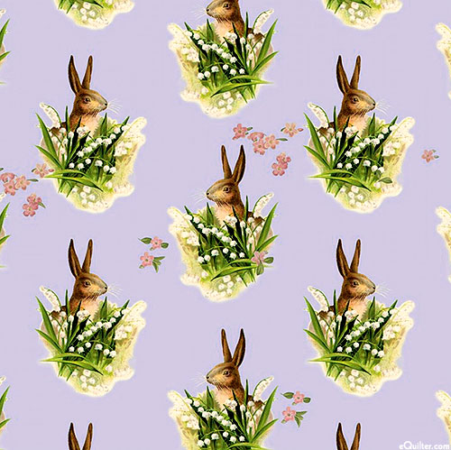 Springtime - Rabbit Lookout - Lilac