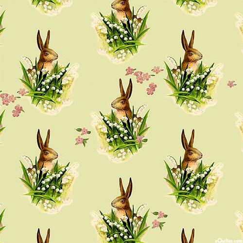Springtime - Rabbit Lookout - Willow