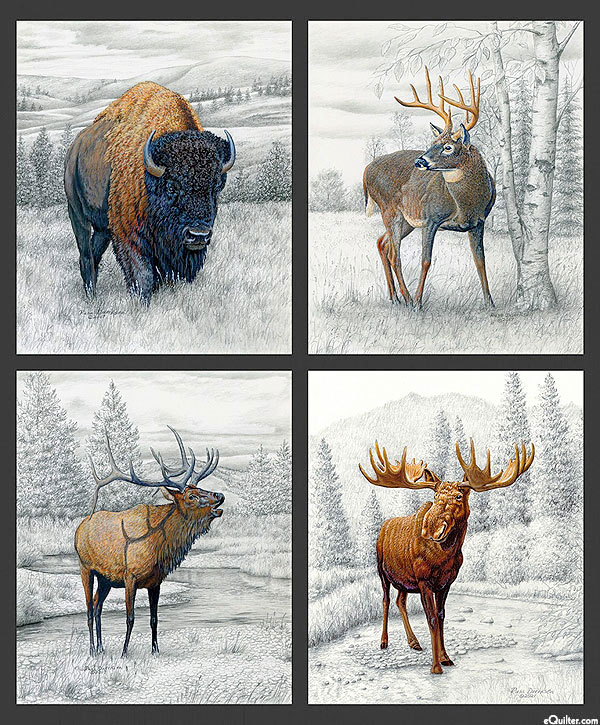 Big Game - Wilderness Portraits - Charcoal - 37" x 44" PANEL