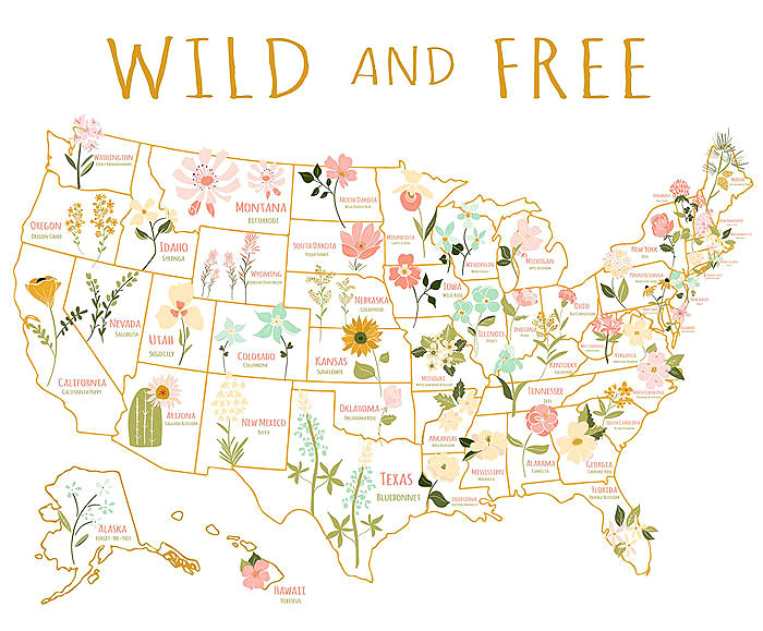 Wild and Free - Flora By State - White - 36" x 44" PANEL