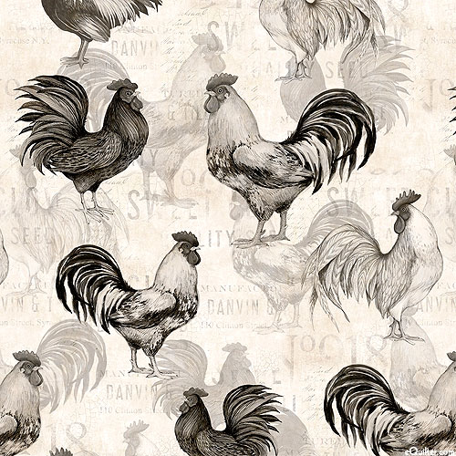 Proud Rooster - Cluck Cluck - Eggshell