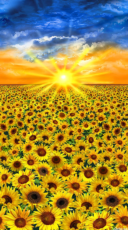 Sunflower Sunset - Golden Hour - Multi - 24" x 44" PANEL