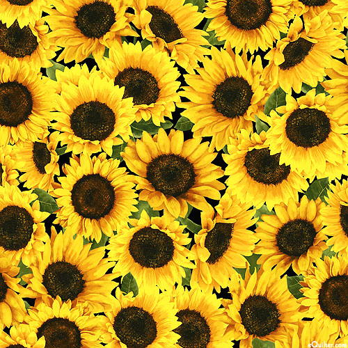Hen House - Sunflower Cascade - Black