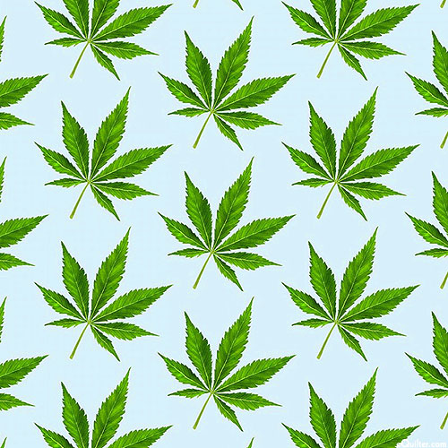 Under Cover - Cannabis Leaves - Powder Blue - DIGITAL