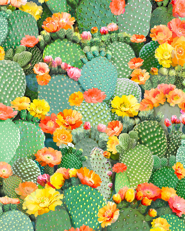 Southwest - Cactus Floral - Sea Green - DIGITAL