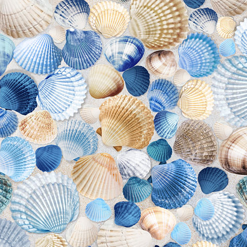 Beach Dreams - Collection of Shells - Sandy Beach
