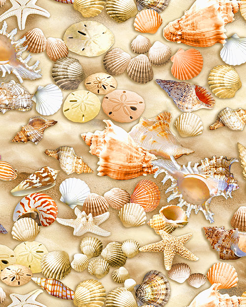 Beach Comber - Sea Shells - Sandstone - DIGITAL