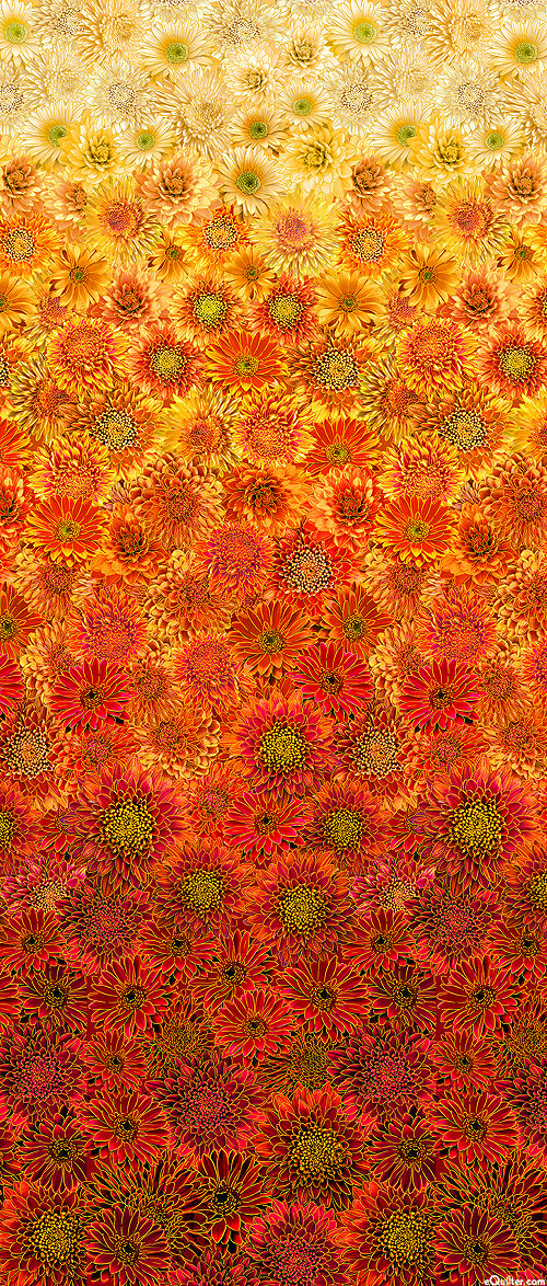Be Thankful - Ombre Autumn Mums - Pumpkin Orange/Gold