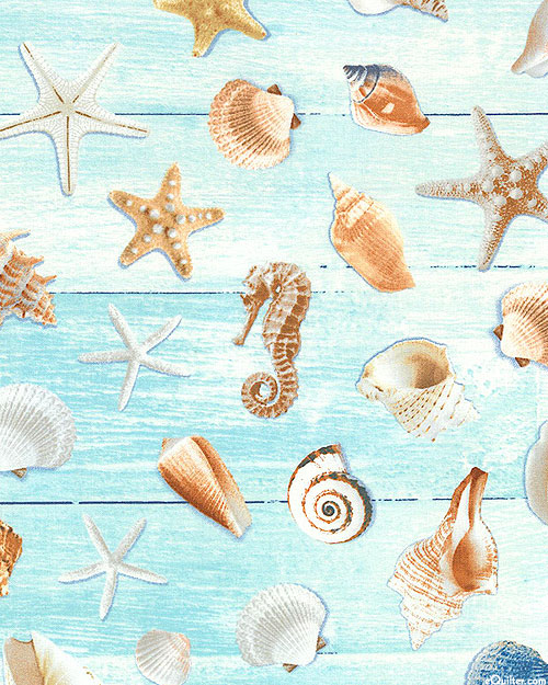 Beach Is My Happy Place - Collected Shells - Aquamarine