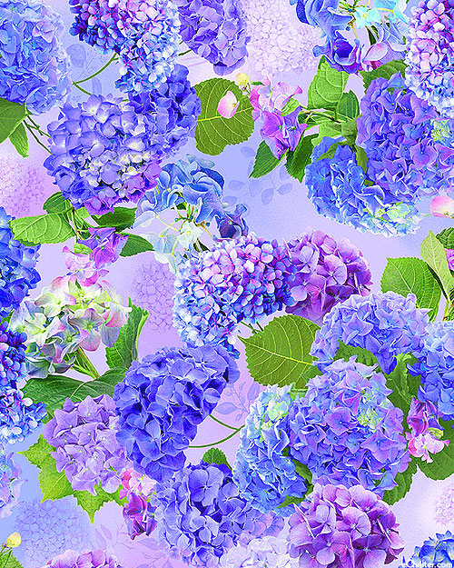 Hydrangea Bliss - Blooming Garden Medium - Lilac Pink