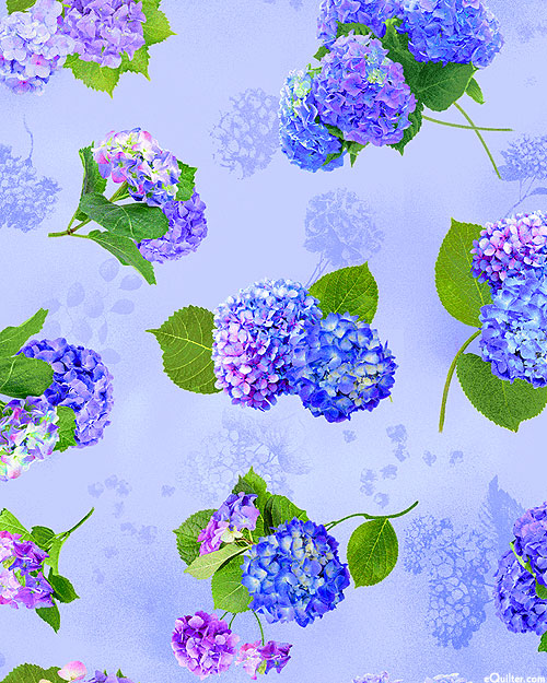 Hydrangea Bliss - Tiny Flower Bunches - Periwinkle