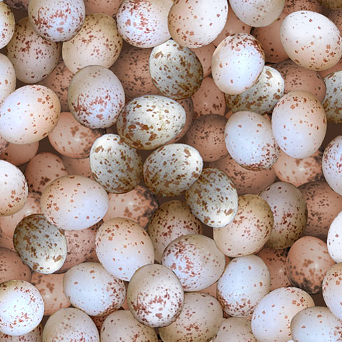Birdhouse Bloom - Chickadee Eggs - Eggshell - DIGITAL