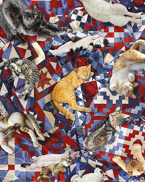 Cat Naps & Patriotic Quilts - Red/White/Blue