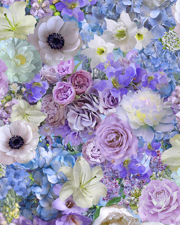 Love Letter - Tossed Fancy Florals - Berry Cream - DIGITAL