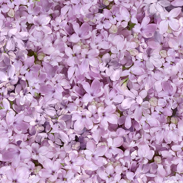 Love Letter - Lilac Florals - Lavender Purple - DIGITAL