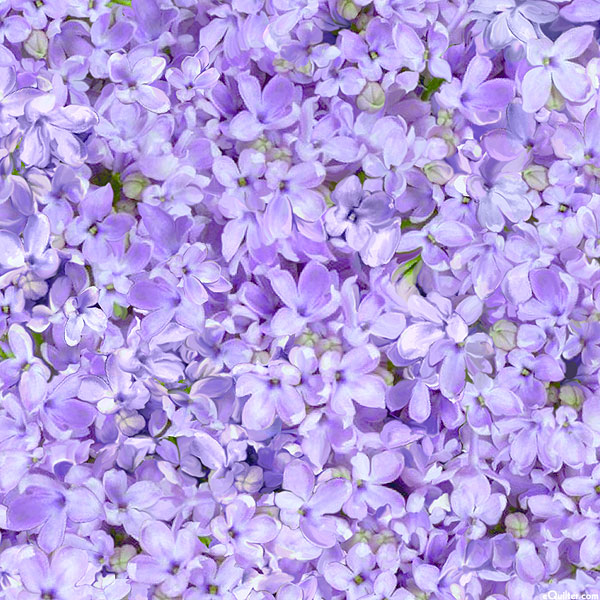 Love Letter - Lilac Florals - Lilac Purple - DIGITAL