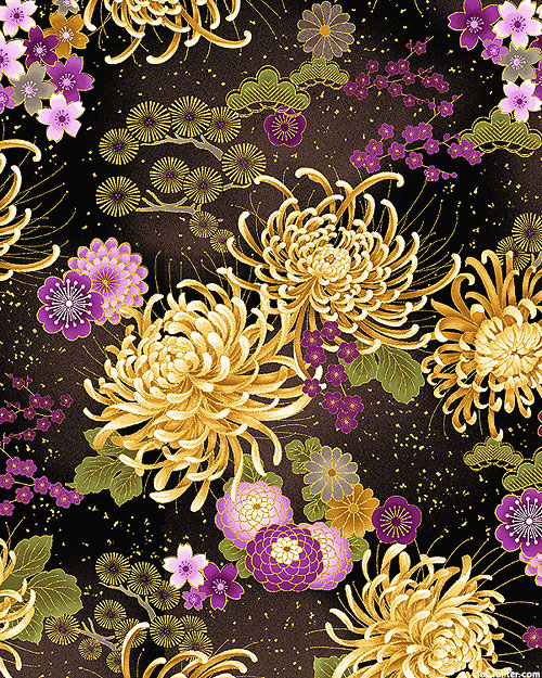 Majestic - Teien Chrysanthemums - Black/Gold