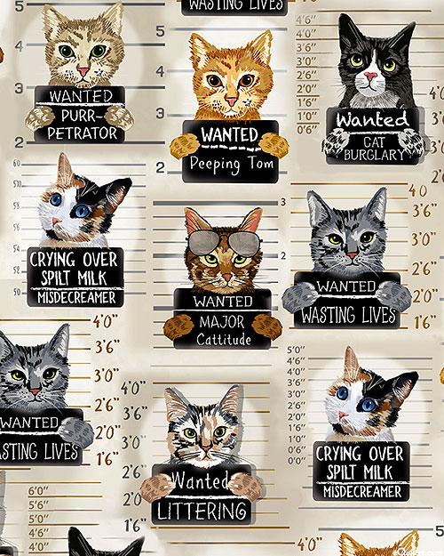 Quirky Cats - Cat Mugshots - Toast Beige - DIGITAL