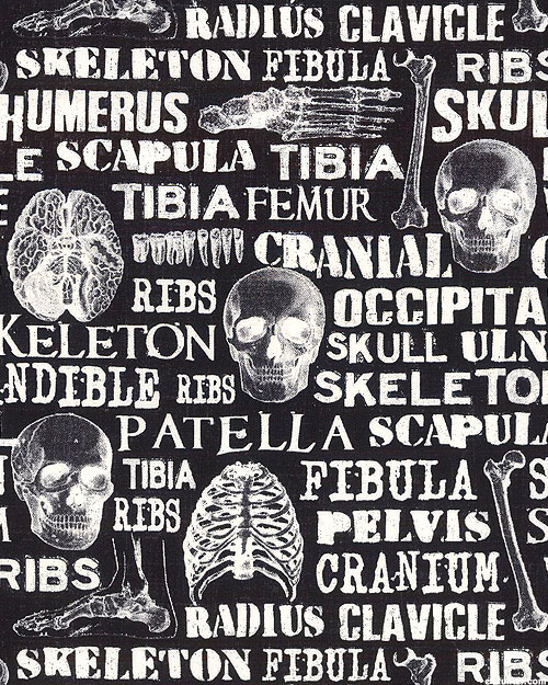 Halloween Prints - Skeleton Science - Black