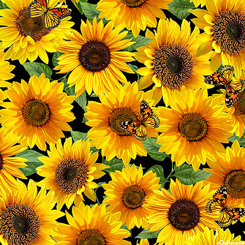 Advice From A Sunflower - Butterfly Garden - Black - DIGITAL