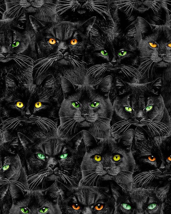 Something Wicked - Black Cats Magic - Pepper Black - DIGITAL