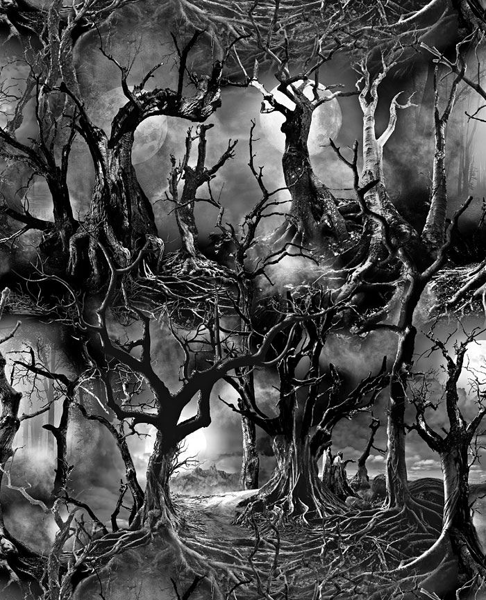 Wicked - Creepy Trees - Pepper Black - DIGITAL
