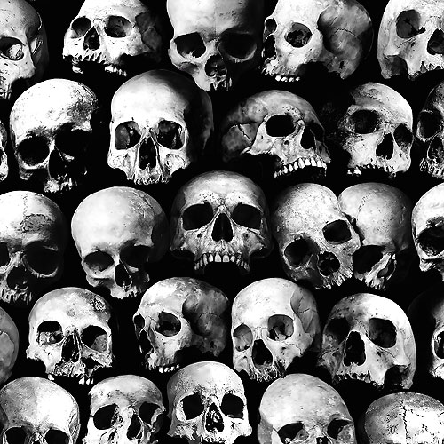 Wicked - Packed Skulls - Ink Black - DIGITAL