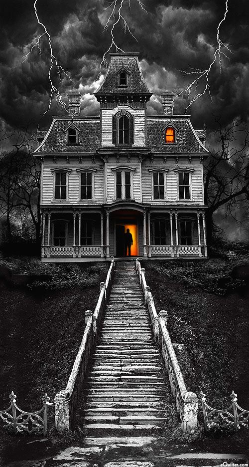 Wicked - Haunted House - Pepper Black - 24" x 44" PANEL