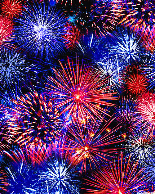 We the People - Independence Day Fireworks - Blue