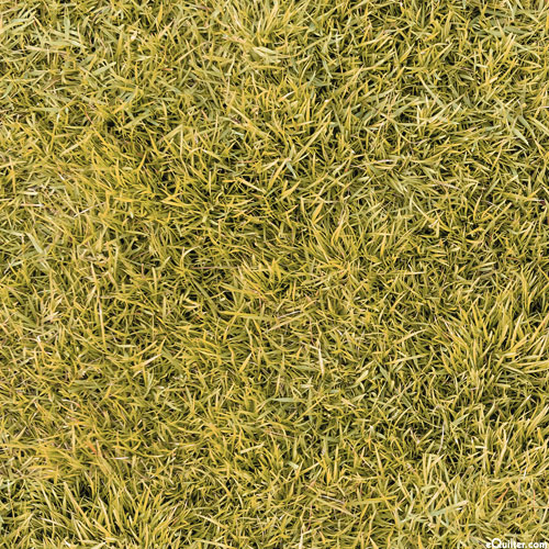 Open Air - Grassy Field - Chartreuse - DIGITAL