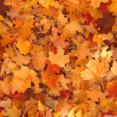 Open Air - Fallen Leaves - Tangerine - DIGITAL