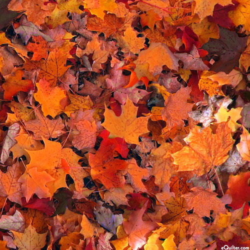 Open Air - Maple Leaves - Blaze Orange - DIGITAL PRINT