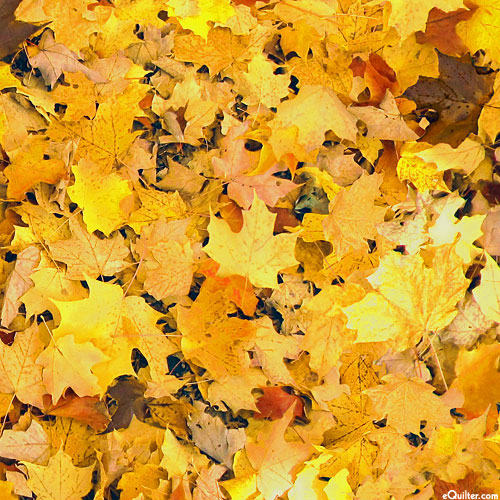 Open Air - Fallen Leaves - Sun Gold - DIGITAL