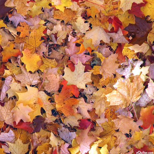 Open Air - Fallen Leaves - Multi - DIGITAL