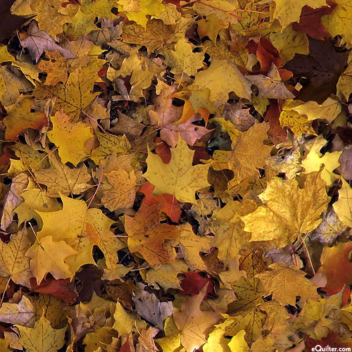 Open Air - Fallen Leaves - Yarrow Gold - DIGITAL